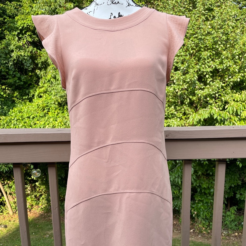 NWT Ann Taylor Loft Pale Pink Peach Ruffle Cap Sleeve Dress Size 4 Wedding Guest